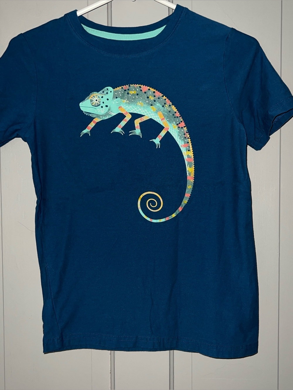Tea Collection Size 14 Chameleon Tee